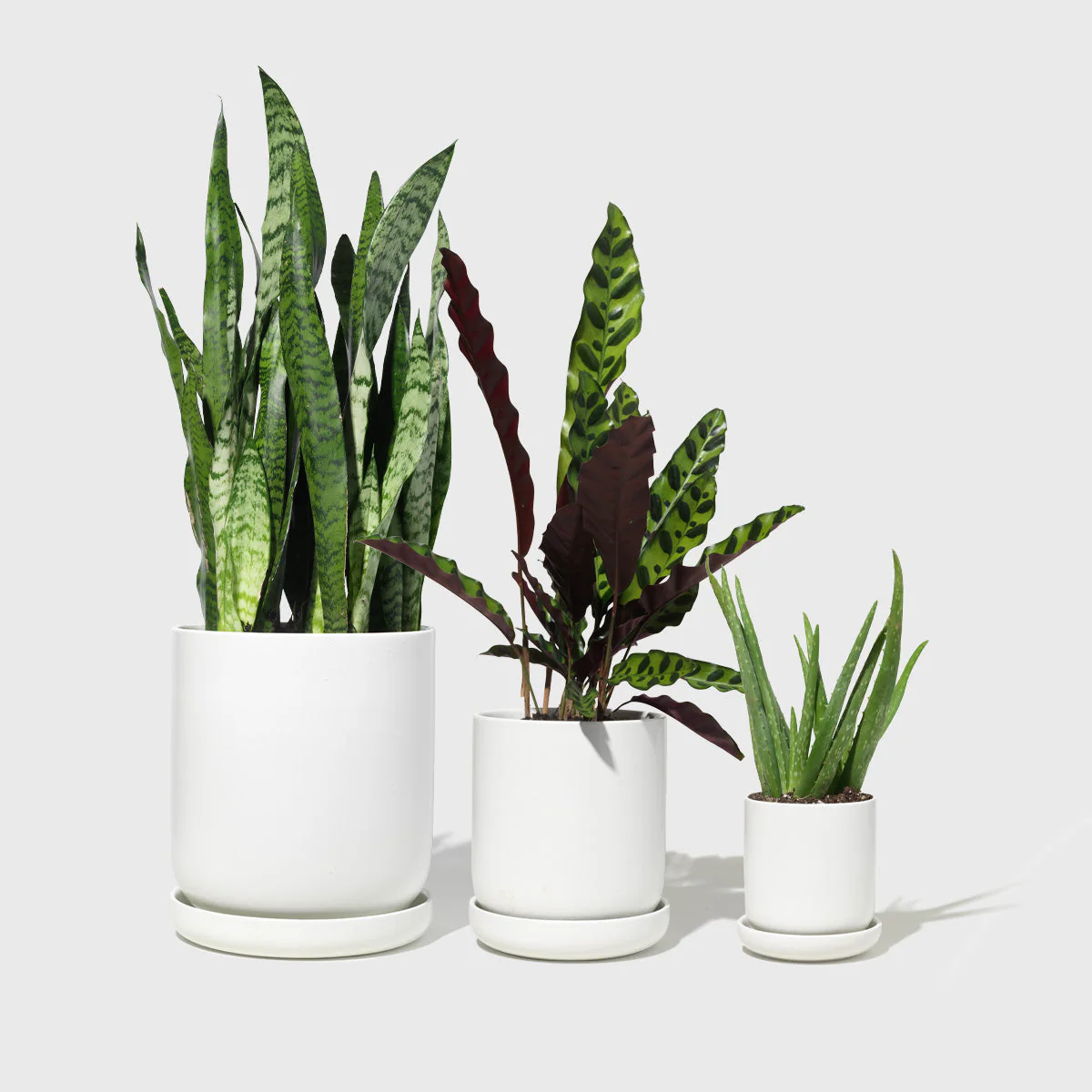 Assorted Stoneware Planters - Image 2
