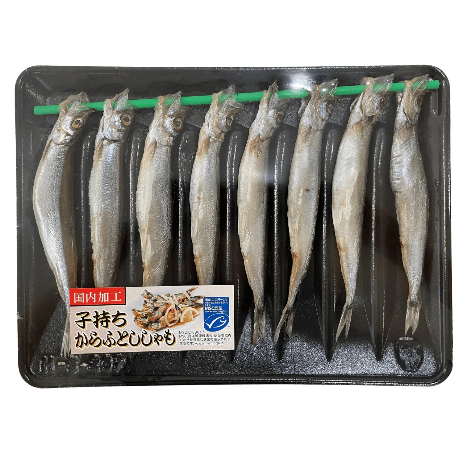 KARAFUTO SHISHAMO 7L156G