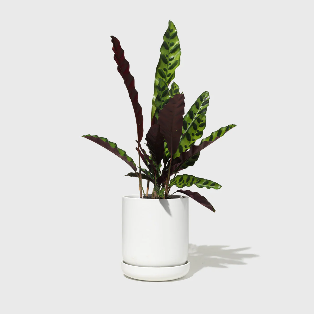 Medium Stoneware Planter - Image 2