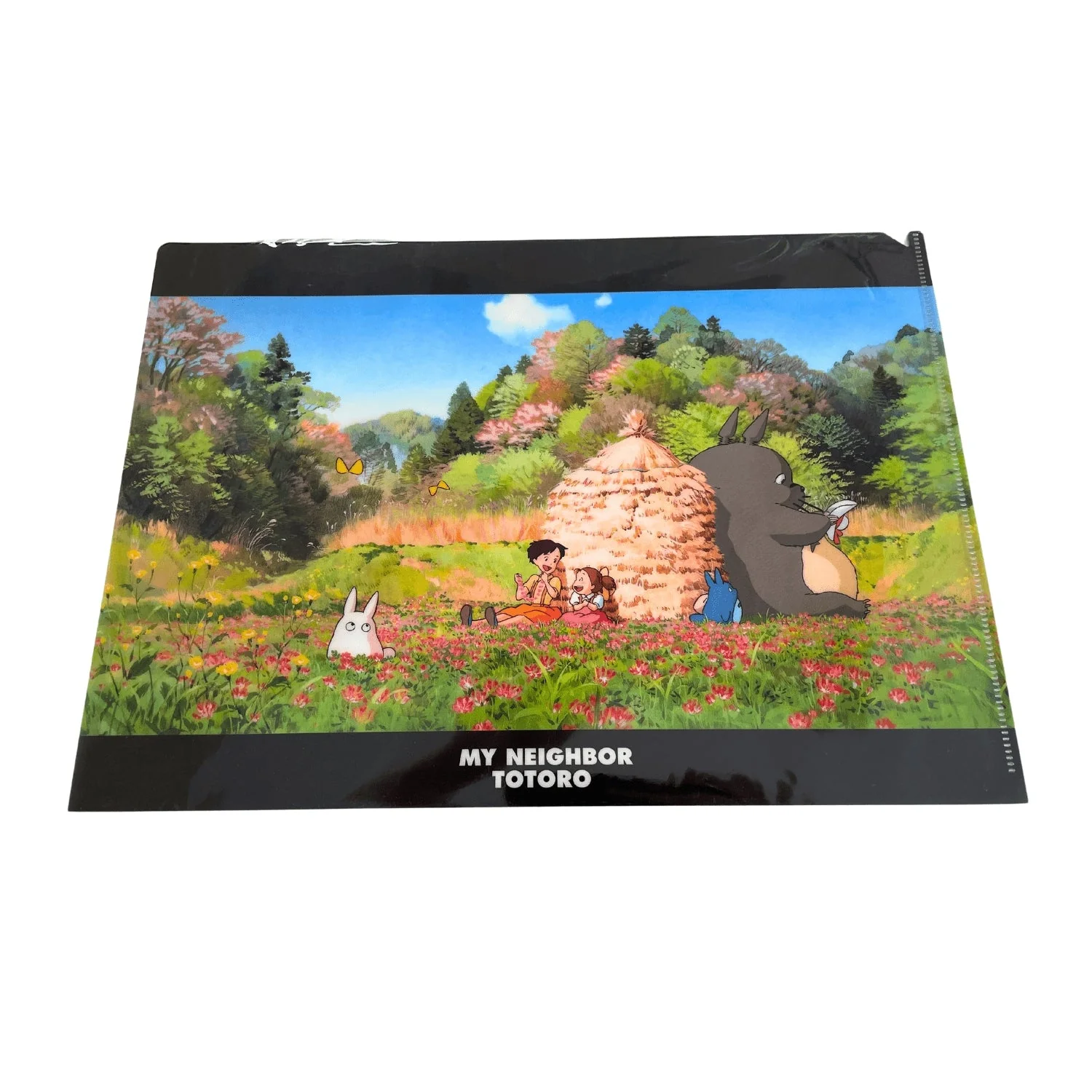 MY NEIGHBOR TOTORO A4 DOC FOLDER 10