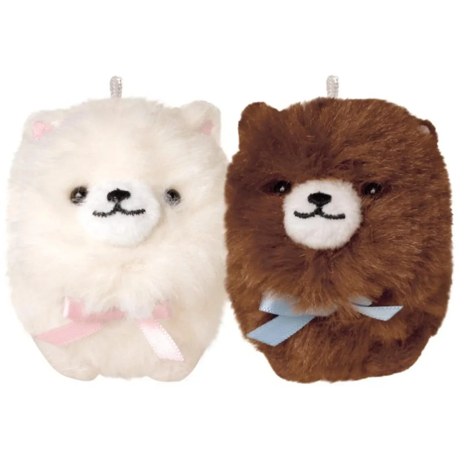 NIKO NUI POMERANIAN