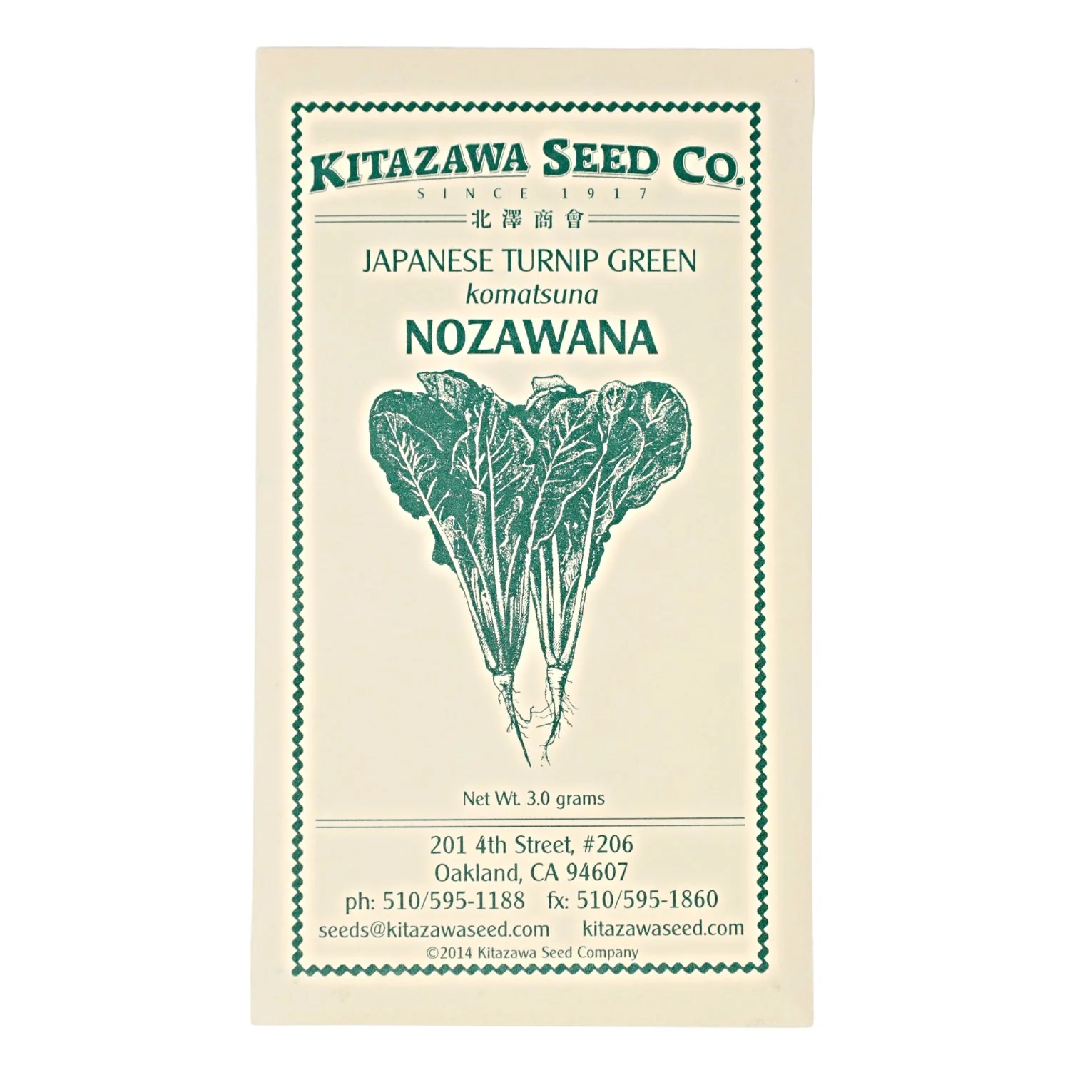 NOZAWANA TURNIP, TURNIP GREEN