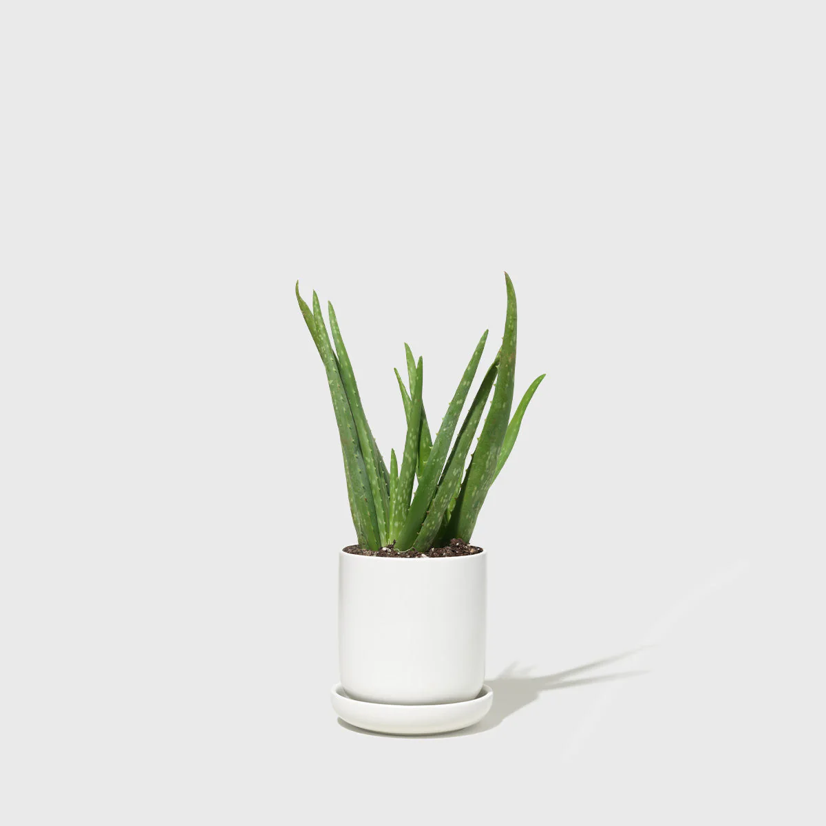 Small Stoneware Planter - Image 2